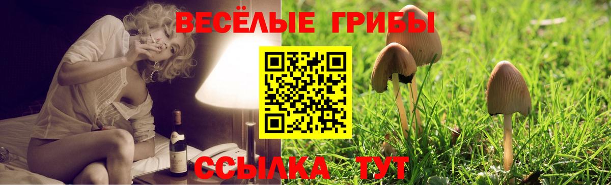 закладки  Псилоцибиновые грибы Magic Shrooms  Вход с VPN  Калининград 