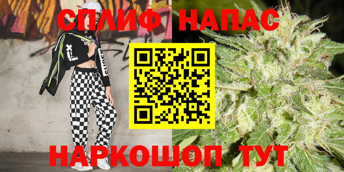 Псилоцибиновые грибы Калининград